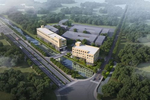 交地即交證 不動產(chǎn)登記 首席登記官 助推項目建設(shè)提速增效